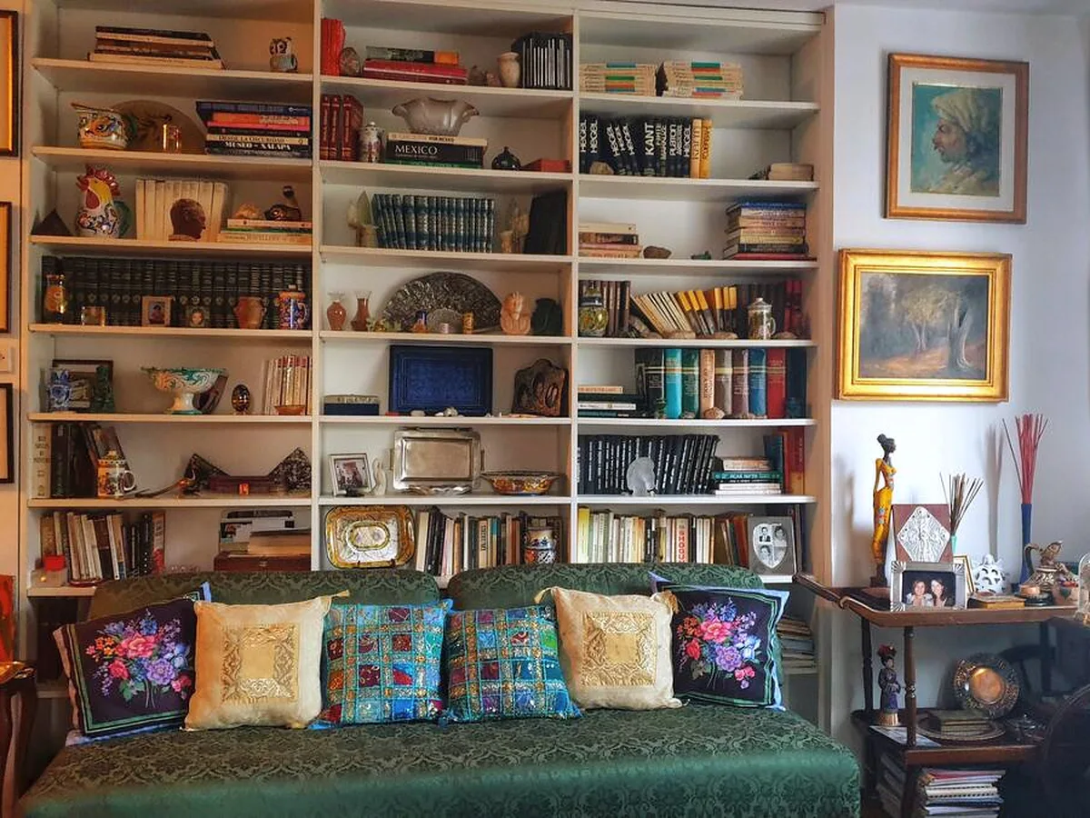 Zorica's living room and library